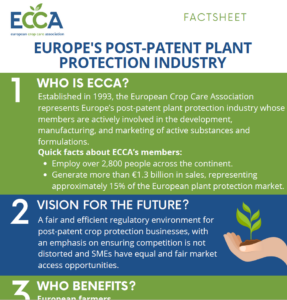 ECCA Fact sheet organisation key asks
